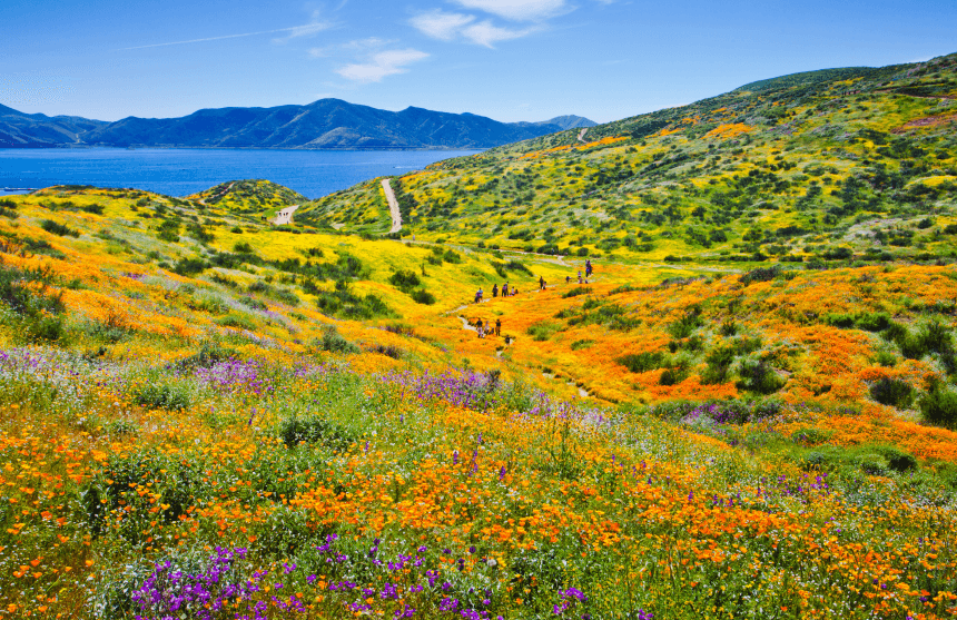 California landscape